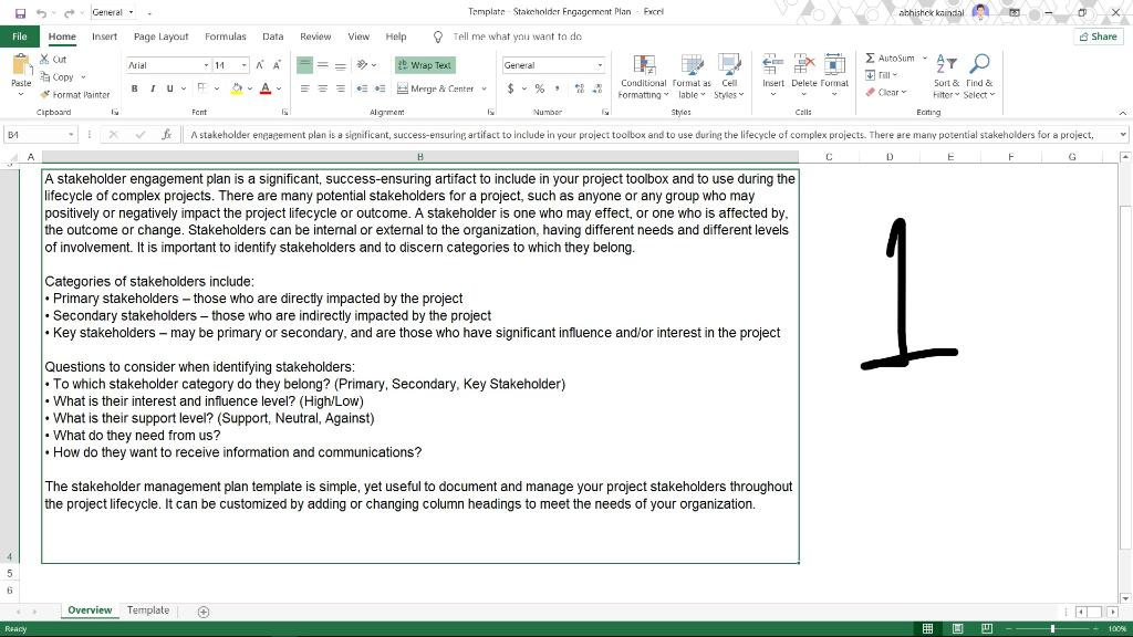 Write a Stakeholder Engagement Plan for your