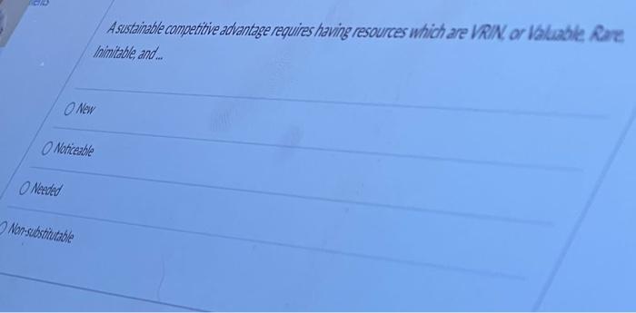 What is the focus of the resource based view of