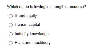 Which of the following is a tangible resource?