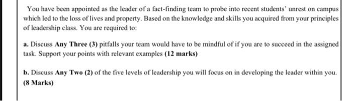 You have been appointed as the leader of a