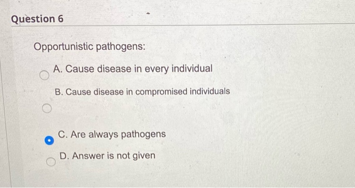 2. 3. 5. 6. 11. 19. Question 2 2.5 points Saved