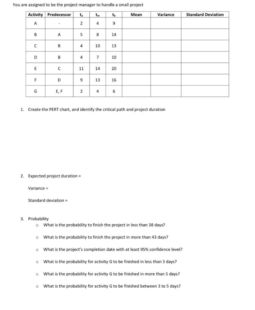You are assigned to be the project manager to