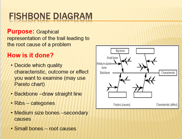 Draw a fish bone diagram with any Pakistani