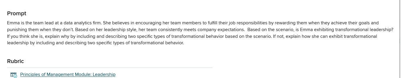 Emma is the team lead at a data analytics firm.
