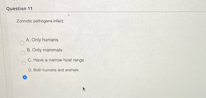 2. the answer is incorrect 11. the answer is