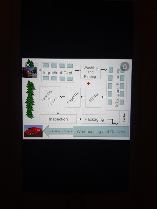 explain this process chart in 250-300 words.