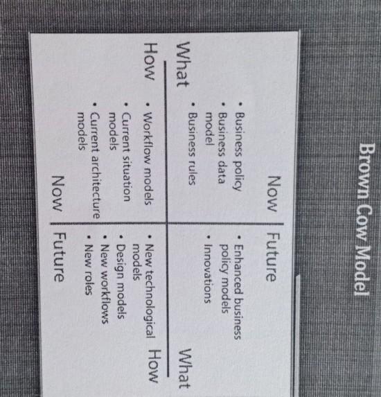 explain this model Brown Cow Model Now | Future