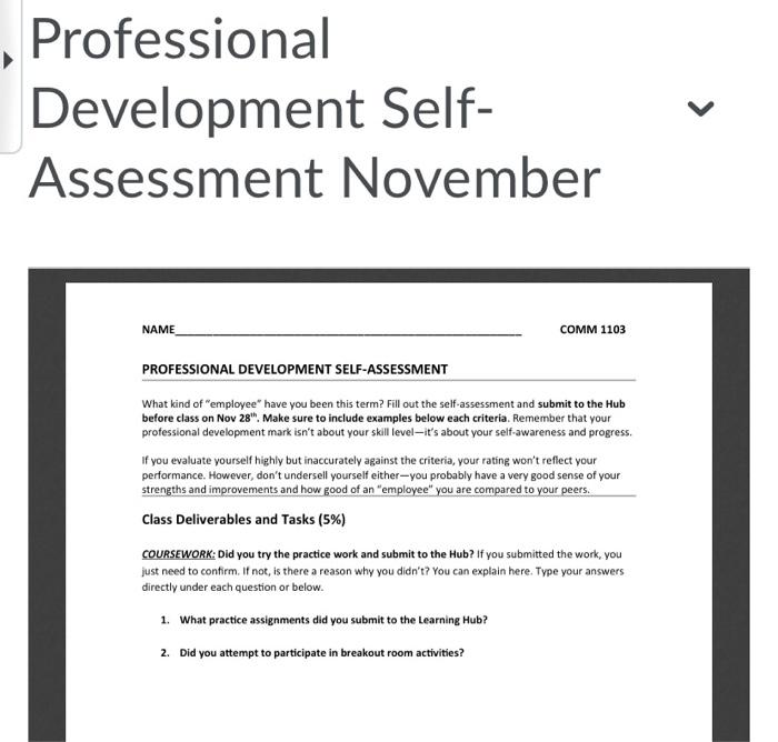 Professional Development Self- Assessment