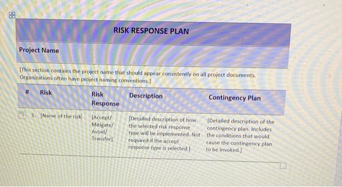 RISK RESPONSE PLAN Project Name [This section