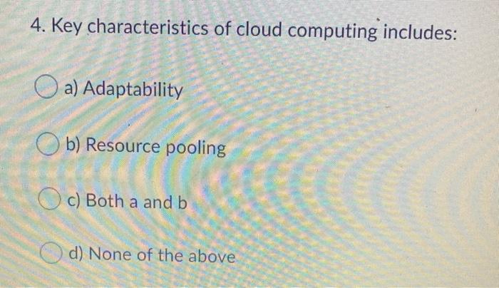 4. Key characteristics of cloud computing