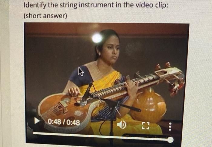 Identify the string instrument in the video clip: