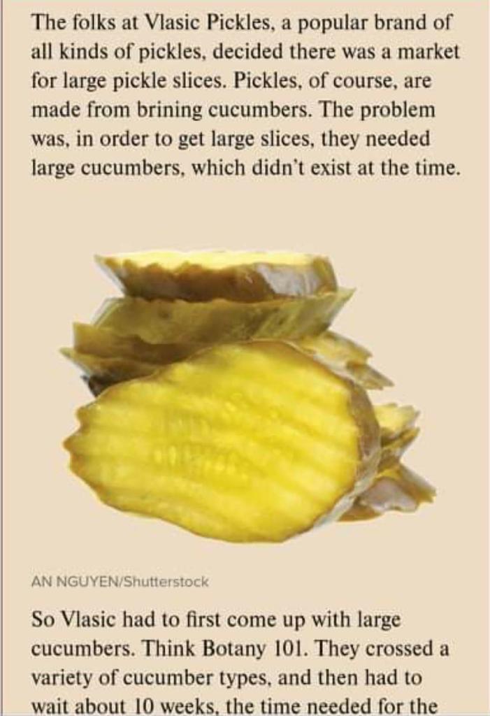 3. Summary of the article 2-3 sentences The folks