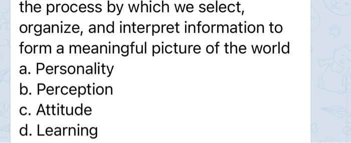 the process by which we select, organize, and