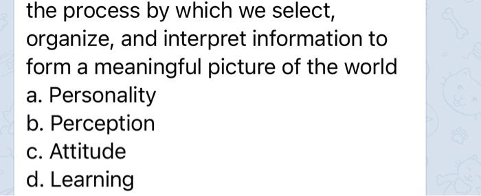 the process by which we select, organize, and