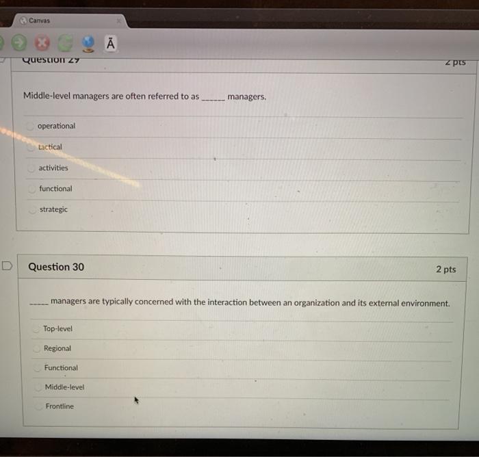 Canvas Question 2 Z pts Middle-level managers are