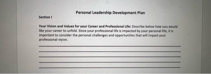 Your Vision and Values for your Career and