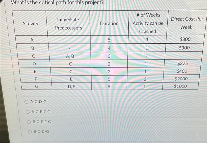 What is the critical path for this project?