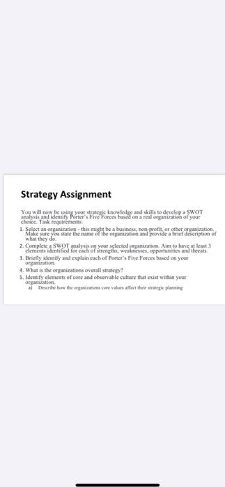 Strategy Assignment what they do You will now