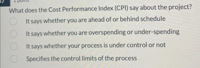 project management What does the Cost Performance