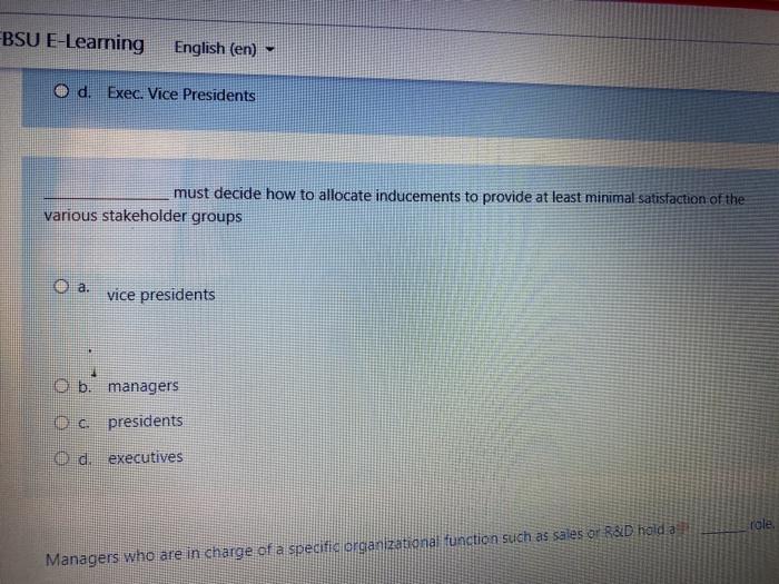 BSU E-Learning English (en) ed Exec. Vice