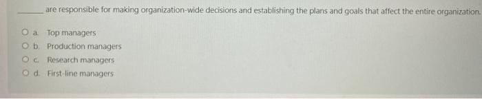 are responsible for making organization-wide