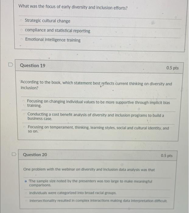What was the focus of early diversity and
