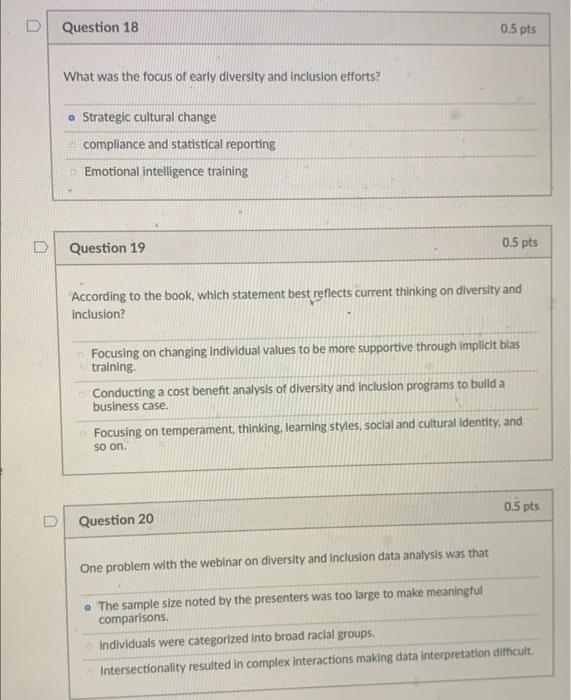 What was the focus of early diversity and