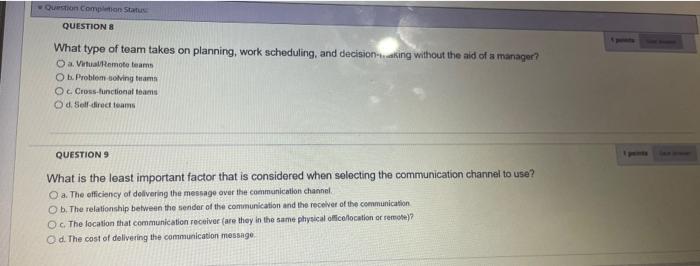 What type of team takes on planning, work