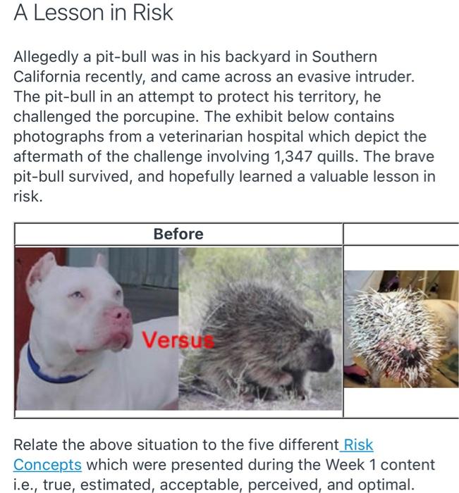 Allegedly a pit-bull was in his backyard in