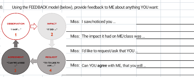 0. Using the FEEDBACK model (below), provide