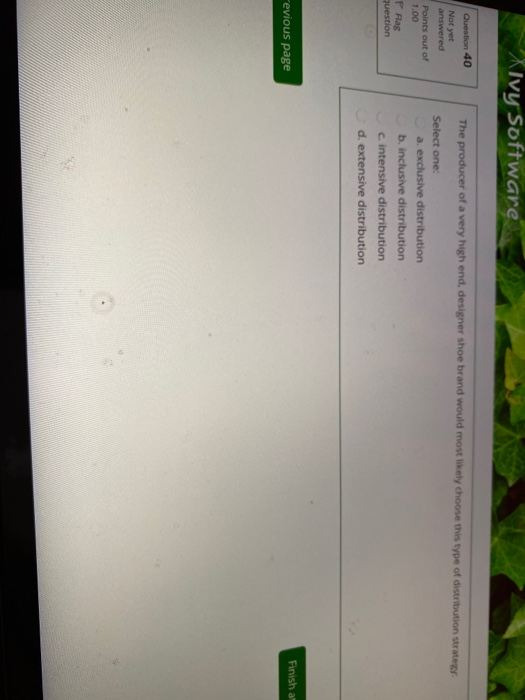 Ivy Software Question 40 The producer of a very