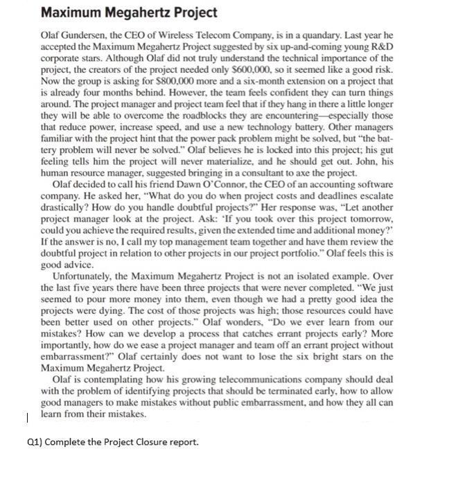 Maximum Megahertz Project Olaf Gundersen, the CEO