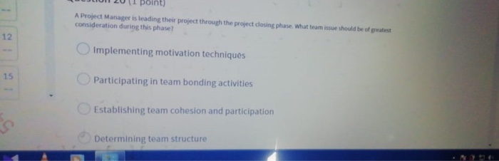 A Project Manager is leading their project