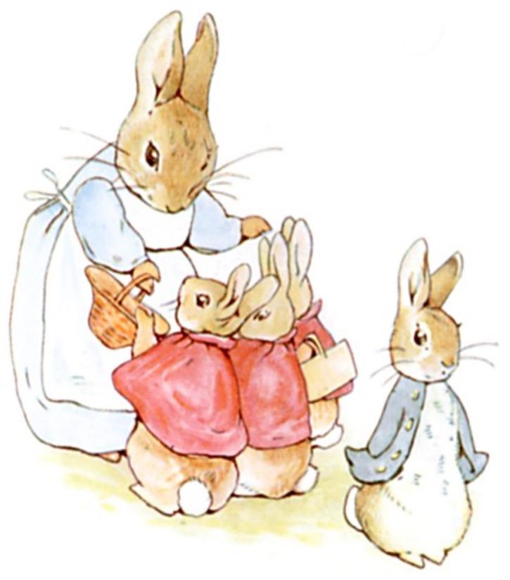 In the story, The Tale of Peter Rabbit by Beatrix