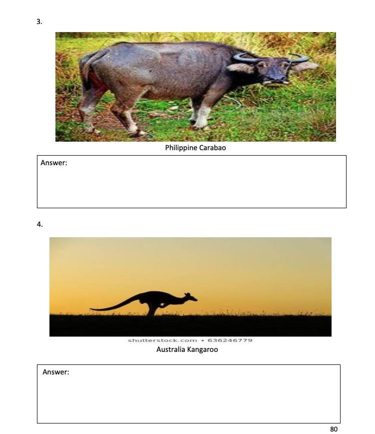 Activity A. From the most recognizable national