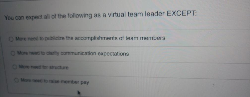 You can expect all of the following as a virtual