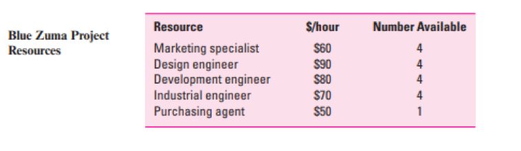 You are a member of a project team assigned to