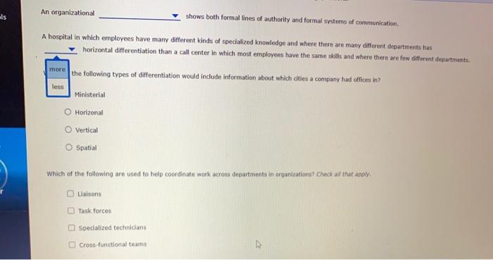 An organizational shows both formal lines of
