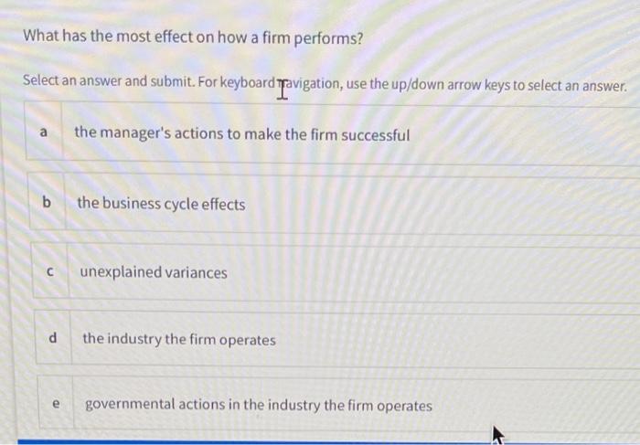 What has the most effect on how a firm performs?