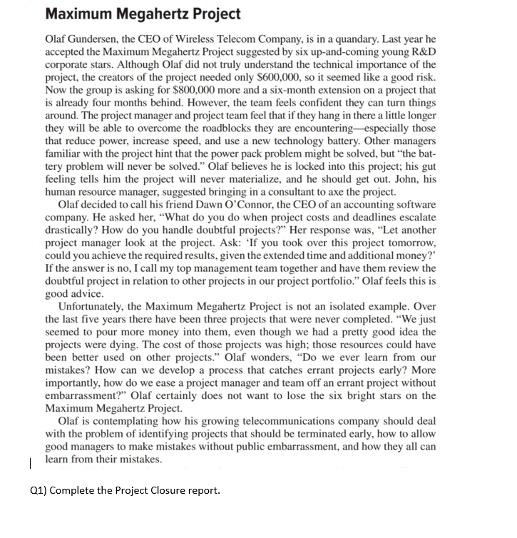 Maximum Megahertz Project Olaf Gundersen, the CEO