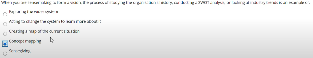 When you are sensemaking to form a vision, the