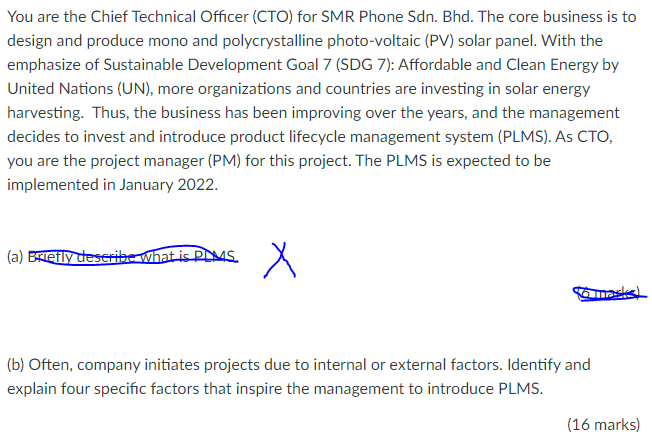 You are the Chief Technical Officer (CTO) for SMR