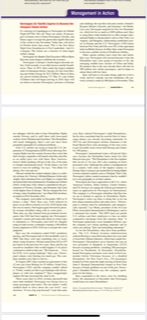 What are the biggest challenges Norwegian