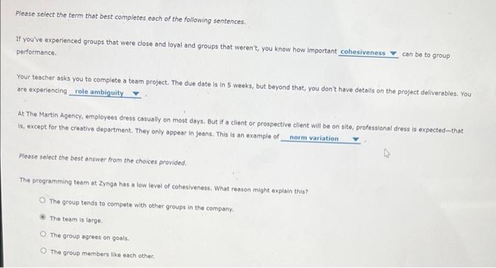 Please select the term that best completes each