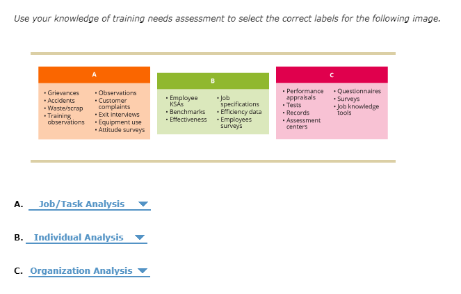 1. Rose is conducting a gap analysis to see what