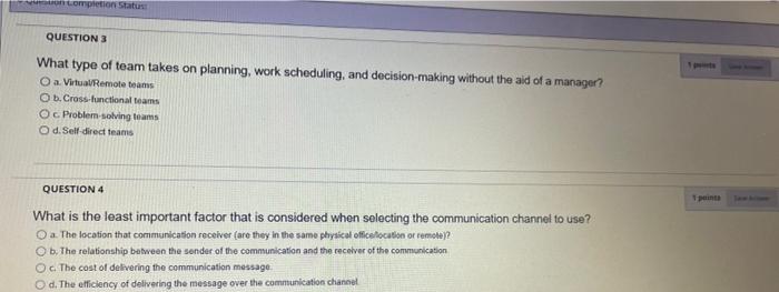 What type of team takes on planning, work