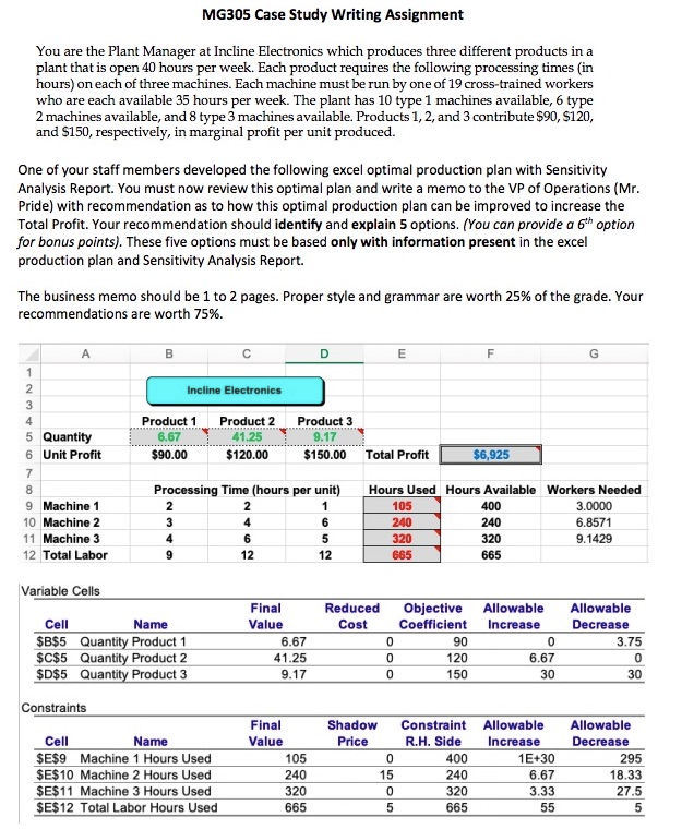 MG305 Case Study Writing Assignment You are the