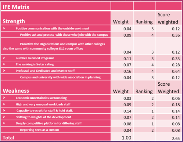 Based on the company's IFE (Internal Factor