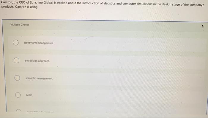 Camron, the CEO of Sunshine Global, is excited