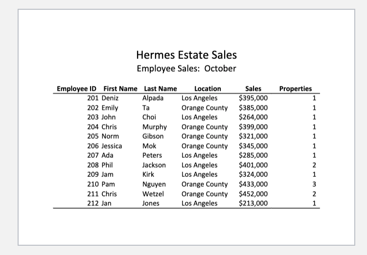 Employee Sales Summary sheet (Note: Do not make
